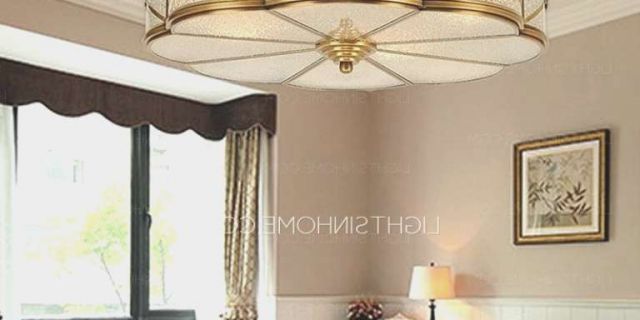 Flush Ceiling Lights Living Room