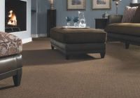 Living Room Carpet Colours How to Choose the Best Carpet for Your Home Kukun